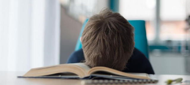 Sekolah Tanpa PR, Efektifkah Metode Pendidikan Finlandia Jika Diterapkan di Indonesia?